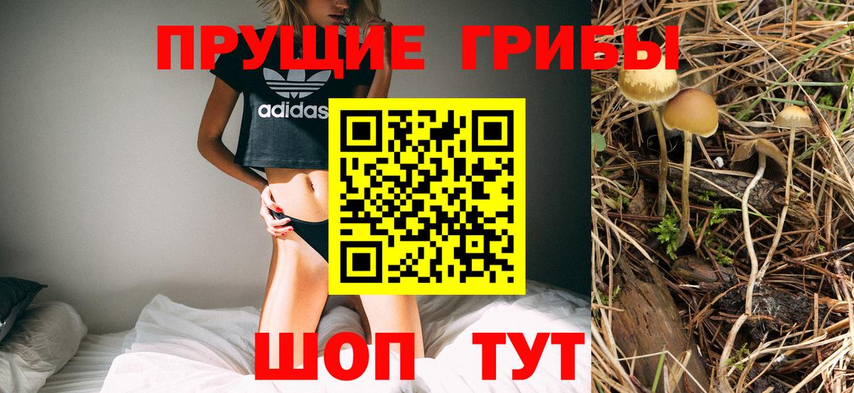 Галлюциногенные грибы Psilocybine cubensis Богородск
